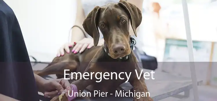 Emergency Vet Union Pier - Michigan