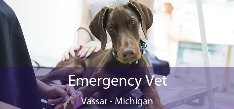 Emergency Vet Vassar - Michigan