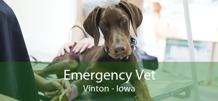 Emergency Vet Vinton - Iowa