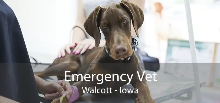 Emergency Vet Walcott - Iowa