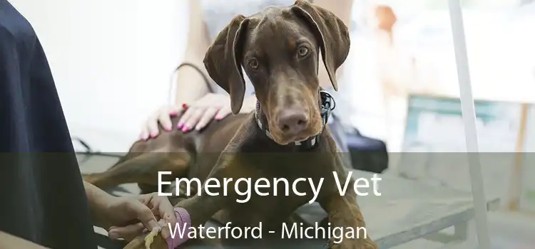 Emergency Vet Waterford - Michigan