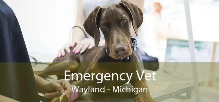Emergency Vet Wayland - Michigan