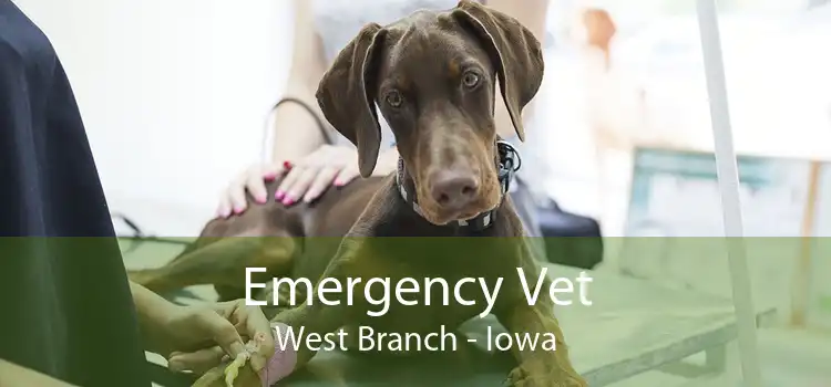 Emergency Vet West Branch - Iowa