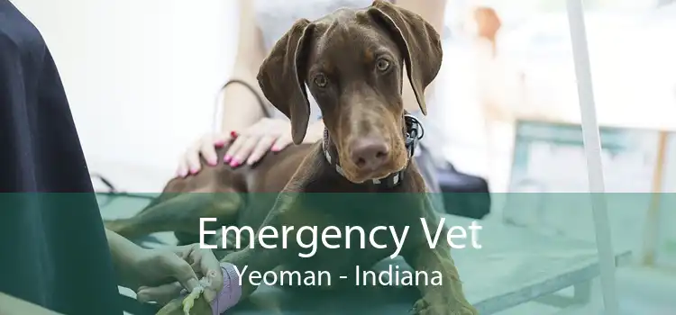 Emergency Vet Yeoman - Indiana
