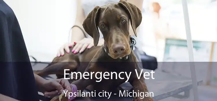 Emergency Vet Ypsilanti city - Michigan