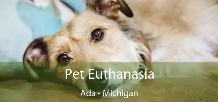 Pet Euthanasia Ada - Michigan