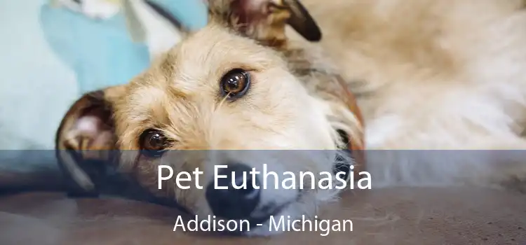 Pet Euthanasia Addison - Michigan