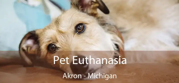 Pet Euthanasia Akron - Michigan