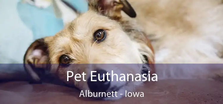 Pet Euthanasia Alburnett - Iowa