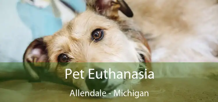 Pet Euthanasia Allendale - Michigan