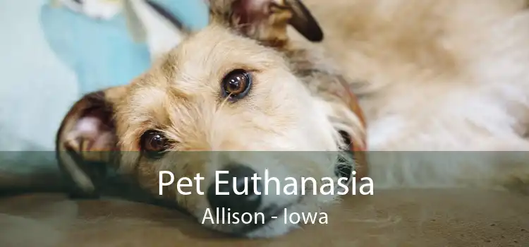 Pet Euthanasia Allison - Iowa