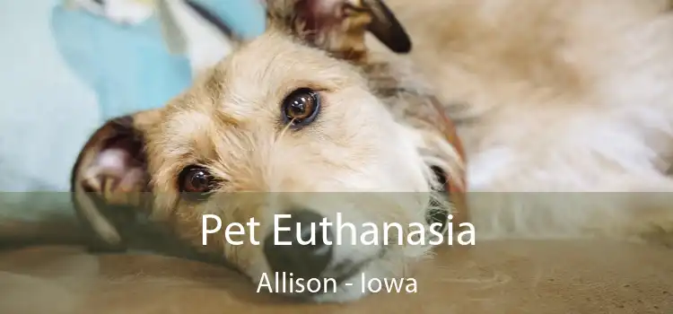 Pet Euthanasia Allison - Iowa