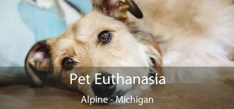 Pet Euthanasia Alpine - Michigan