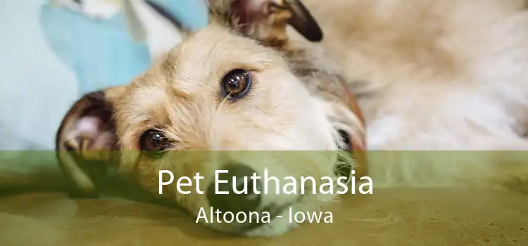 Pet Euthanasia Altoona - Iowa