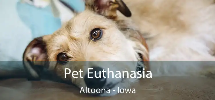 Pet Euthanasia Altoona - Iowa