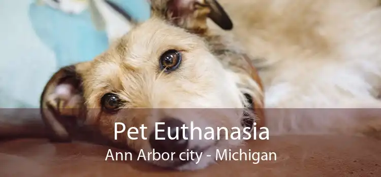 Pet Euthanasia Ann Arbor city - Michigan