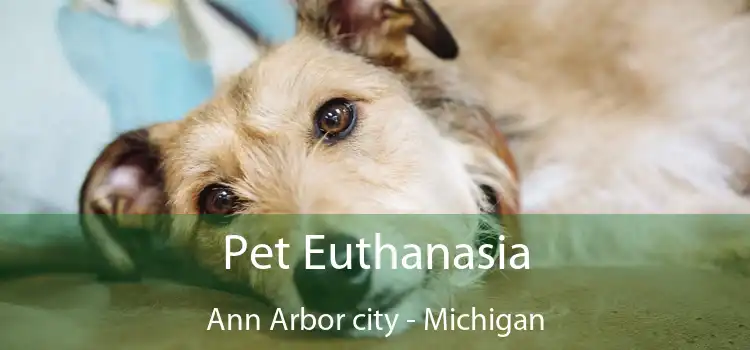 Pet Euthanasia Ann Arbor city - Michigan