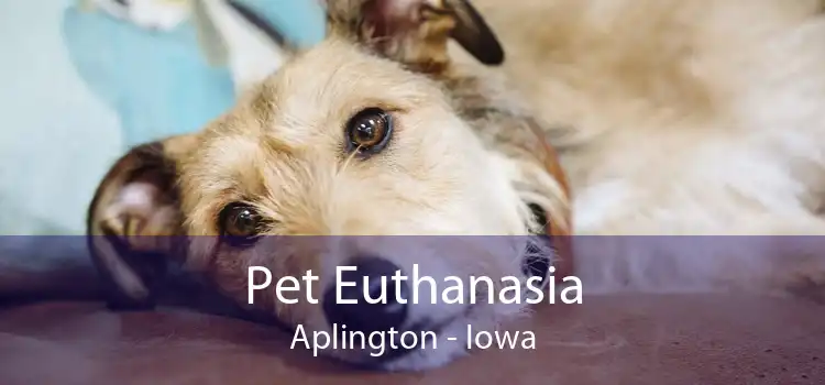 Pet Euthanasia Aplington - Iowa