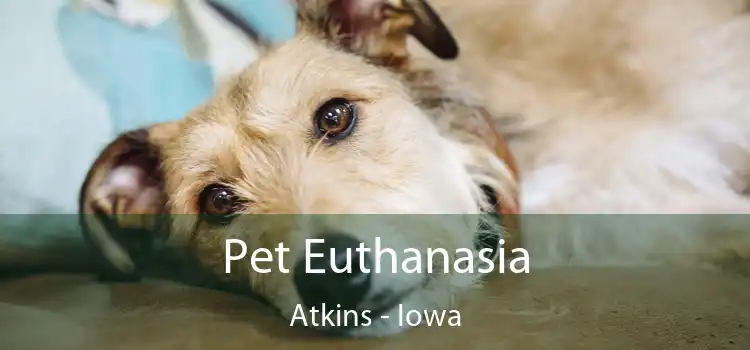 Pet Euthanasia Atkins - Iowa