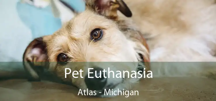 Pet Euthanasia Atlas - Michigan