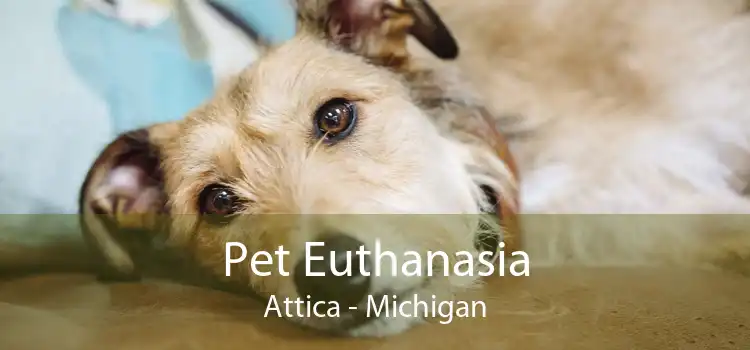 Pet Euthanasia Attica - Michigan