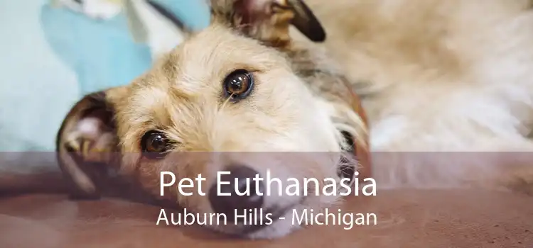 Pet Euthanasia Auburn Hills - Michigan