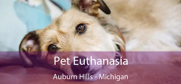 Pet Euthanasia Auburn Hills - Michigan