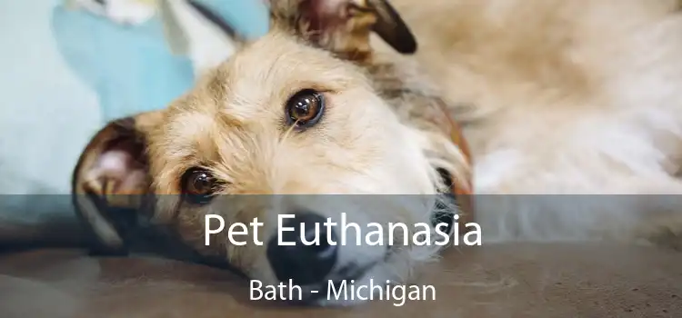 Pet Euthanasia Bath - Michigan