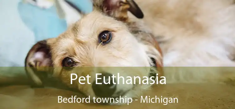 Pet Euthanasia Bedford township - Michigan