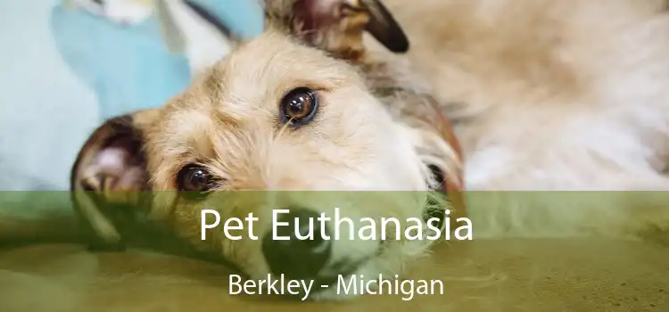 Pet Euthanasia Berkley - Michigan