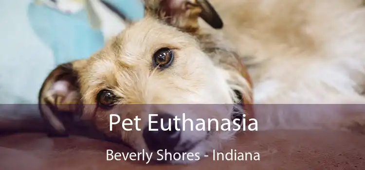 Pet Euthanasia Beverly Shores - Indiana