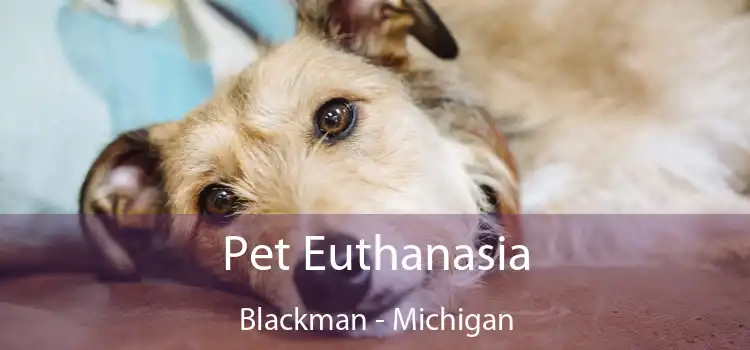 Pet Euthanasia Blackman - Michigan