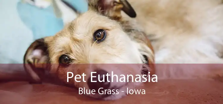 Pet Euthanasia Blue Grass - Iowa