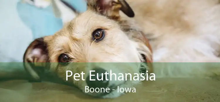Pet Euthanasia Boone - Iowa
