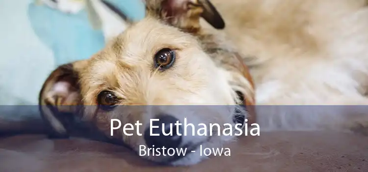 Pet Euthanasia Bristow - Iowa