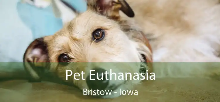 Pet Euthanasia Bristow - Iowa