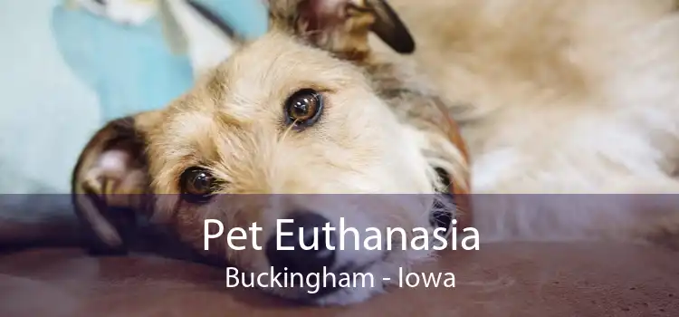 Pet Euthanasia Buckingham - Iowa
