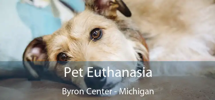 Pet Euthanasia Byron Center - Michigan