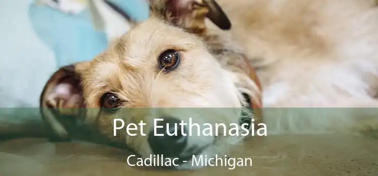 Pet Euthanasia Cadillac - Michigan