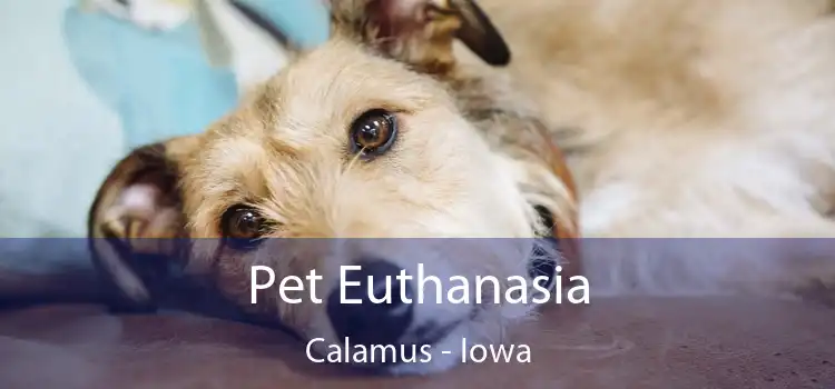 Pet Euthanasia Calamus - Iowa