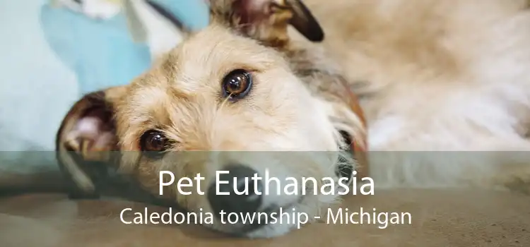Pet Euthanasia Caledonia township - Michigan