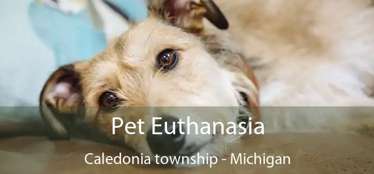 Pet Euthanasia Caledonia township - Michigan