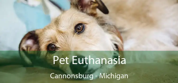 Pet Euthanasia Cannonsburg - Michigan