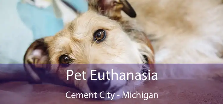 Pet Euthanasia Cement City - Michigan