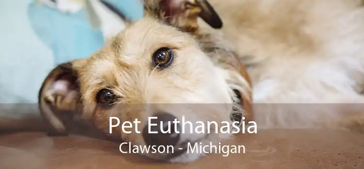 Pet Euthanasia Clawson - Michigan