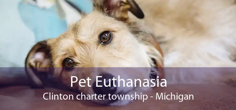 Pet Euthanasia Clinton charter township - Michigan