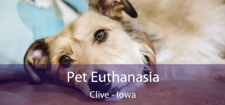 Pet Euthanasia Clive - Iowa