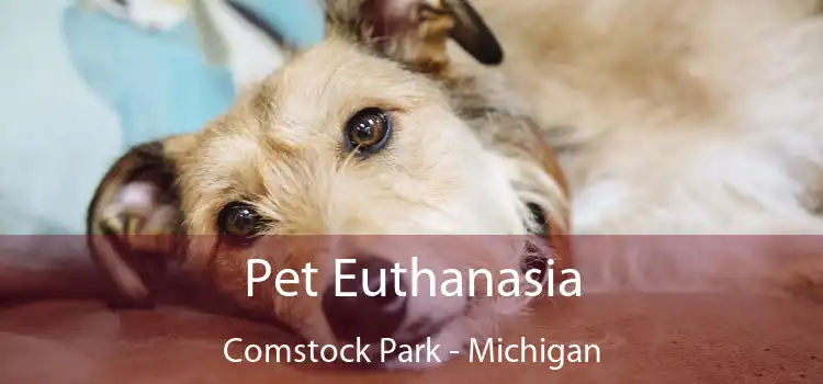 Pet Euthanasia Comstock Park - Michigan