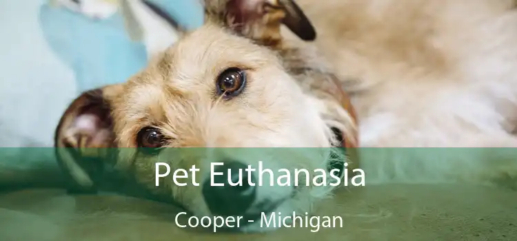 Pet Euthanasia Cooper - Michigan