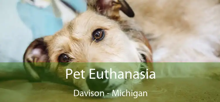 Pet Euthanasia Davison - Michigan